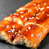 Grilled Eel